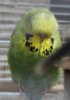 IMG_8843.JPG