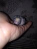 IMG_20180616_094539.jpg