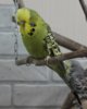 IMG_8910.JPG