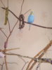 IMG-a1c9c1e964dad6e2ad43f8a73b8d72f7-V.jpg