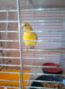 IMG-9da3fceb21fd4bc30dd9bde2ea633a5f-V.jpg