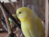 DSCN2055.JPG