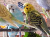 DSCN2057.JPG