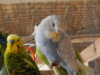 DSCN2060.JPG