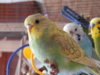 DSCN2061.JPG
