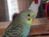 DSCN2069.JPG