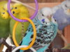 DSCN2073.JPG