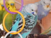 DSCN2074.JPG