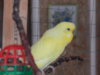 DSCN2077.JPG
