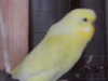 DSCN2082.JPG