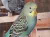 DSCN2086.JPG