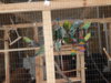 DSCN2078.JPG