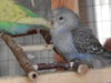 DSCN2066.JPG