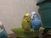 20180618_220422.jpg