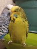 20180618_220800.jpg