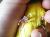 DSCN9678.JPG