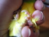 DSCN9679.JPG