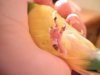 DSCN9671.JPG