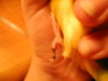 DSCN9669.JPG