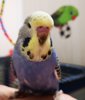 IMG_20180621_165612.jpg