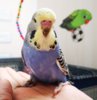 IMG_20180621_165549.jpg