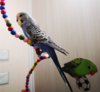 IMG_20180621_165453.jpg