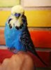 IMG_20180621_164824.jpg