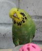 IMG_9566.JPG