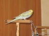IMG_1172.JPG