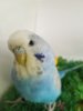 20180709_130308.jpg