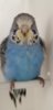 20180709_112515.jpg