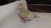 DSCF0573.JPG