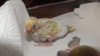 DSCF0577.JPG