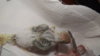 DSCF0570.JPG