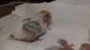 DSCF0572.JPG