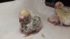 DSCF0590.JPG