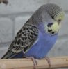 IMG_0006.JPG