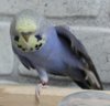 IMG_0015.JPG