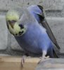 IMG_0017.JPG