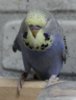 IMG_0018.JPG