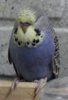 IMG_0026.JPG