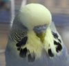 IMG_0047.JPG