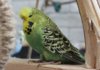 IMG_0066.JPG