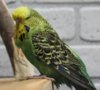 IMG_0146.JPG