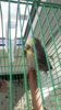 20180713_072856.jpg