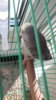 20180713_072920.jpg