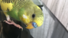 EFBF58E8-4BDF-42B7-85F0-B1E63B07E9A6.png