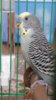 20180714_111458.jpg