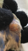 2F5E1C62-7F44-48F1-AA6B-92F1E60E85E5.png