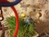 IMG_20180715_195702_BURST1.jpg